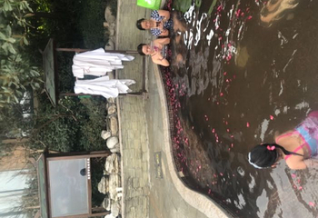 太白山凤凰温泉第 46 张图片