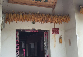 安陆钱冲古银杏生态旅游区第 41 张图片