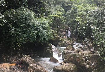 泰安古镇第 20 张图片