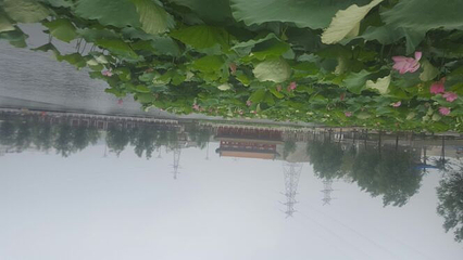 凌海花园温泉第 6 张图片