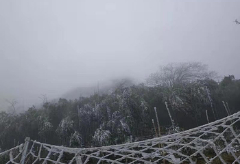金佛山北坡景区第 46 张图片