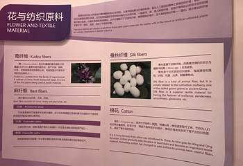 金昌花文化博览馆第 3 张图片
