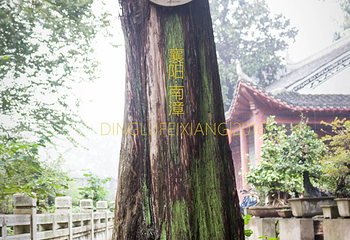 水镜庄第 11 张图片
