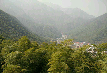 中国大竹海景区第 50 张图片