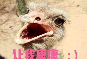 鄂尔多斯野生动物园第 32 张图片