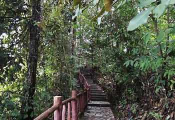 河湾山寨第 20 张图片