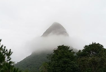 天龙顶国家山地公园第 15 张图片