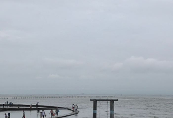 刘家湾赶海园第 50 张图片