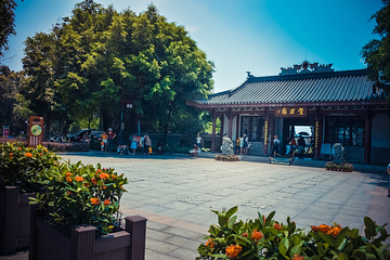 丰渚园第 25 张图片