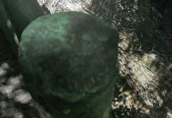 金刀峡第 46 张图片