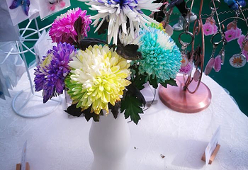 湖熟菊花园第 12 张图片