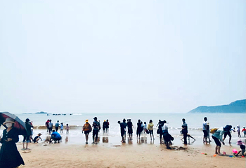 朱家尖南沙景区第 21 张图片