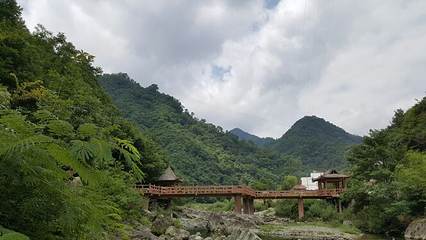 陇南阳坝梅园沟第 24 张图片