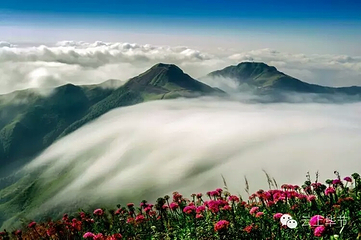 天上花海景区第 6 张图片