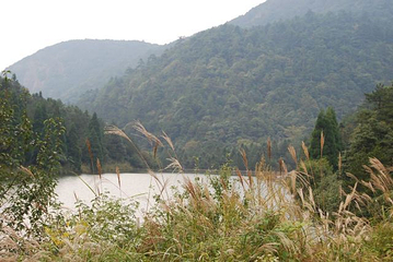 龙泉山旅游区第 63 张图片