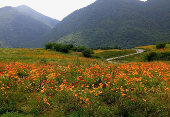 红池坝高山草场第 20 张图片