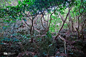 垦丁公园热带风景区第 7 张图片