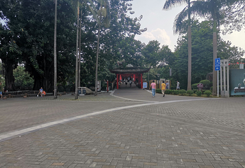 龙岗龙园第 12 张图片