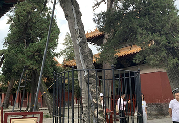 北京孔庙第 18 张图片