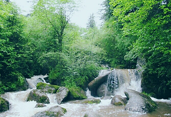 大岭山森林公园第 7 张图片