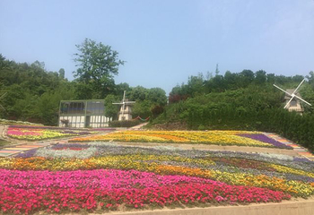 黄岩交旅蓝美田园第 16 张图片