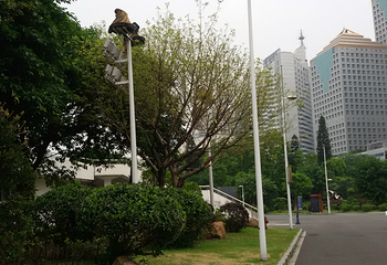 天河体育中心第 18 张图片