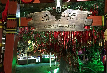 地下倒石林第 18 张图片