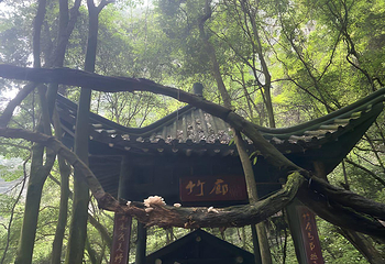 三峡大瀑布第 79 张图片