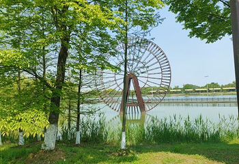 苏州太湖国家湿地公园第 61 张图片