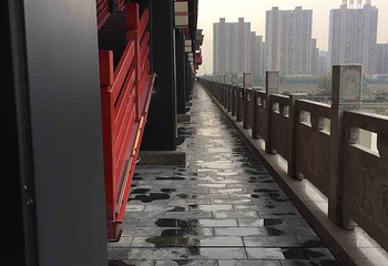 咸阳古渡第 6 张图片