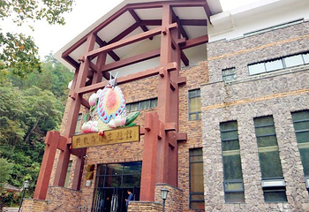 乌岩岭国家级自然保护区第 16 张图片