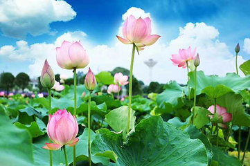 浏阳万花卡通园第 17 张图片