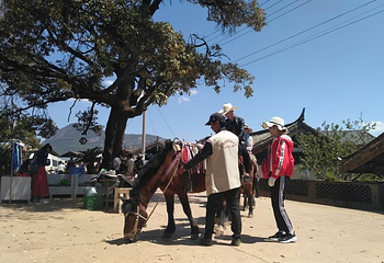 蓬壶百丈岩风景区第 21 张图片