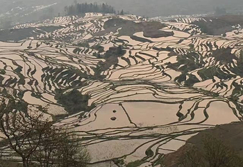 多依树梯田第 8 张图片