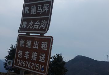 括苍山国家森林公园第 15 张图片