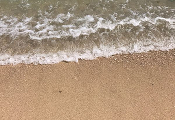 大鹏普罗旺斯花海第 12 张图片