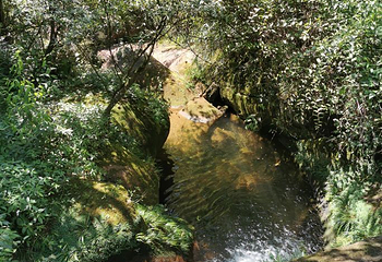 赤水丹霞旅游区·佛光岩第 23 张图片