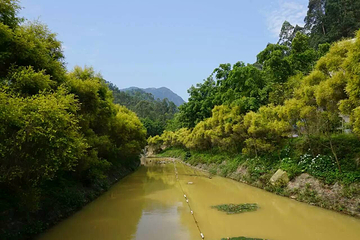 九道山生态旅游区第 82 张图片