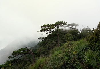 军峰山第 18 张图片
