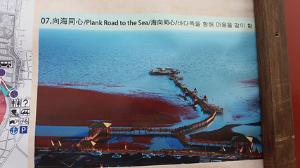 鼎翔生态旅游区-苇海蟹滩第 20 张图片