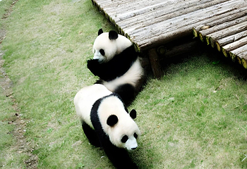 天目湖南山竹海第 53 张图片