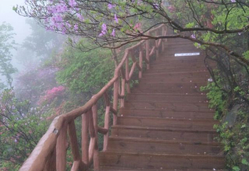英山县天马寨风景区第 32 张图片