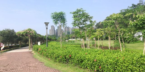 广西药用植物园第 30 张图片