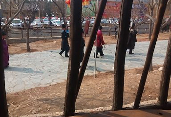 金镇第 46 张图片