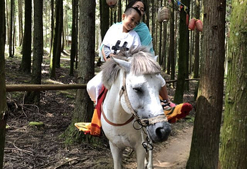 (重庆黄水旅游度假区)毕兹卡绿宫第 4 张图片