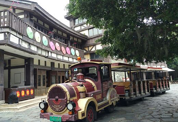 大华兴寺第 8 张图片