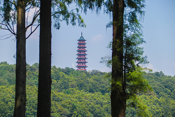 平山森林公园第 13 张图片
