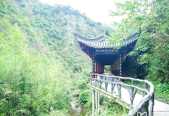 龙须山景区第 40 张图片