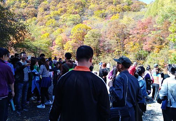 筐子沟生态风景区第 18 张图片