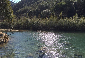 九峰山网岙景区第 19 张图片